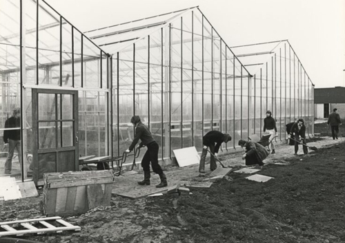 Our history - 1950-1979