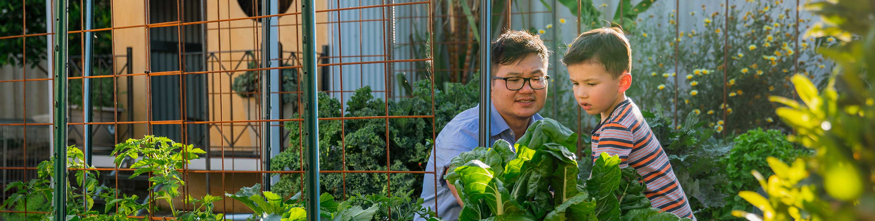 Part of our commitment to improving quality of life is to accelerate the transition to a net zero world. Explore our global sustainability initiatives.