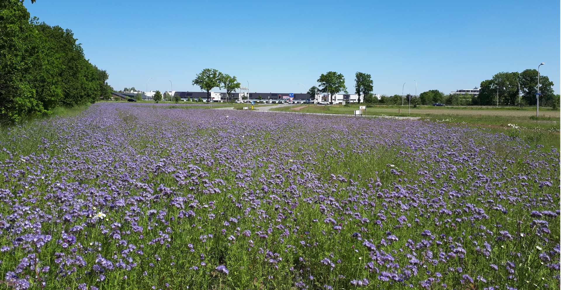 landbouwbedrijf Tilburg Bleukweg