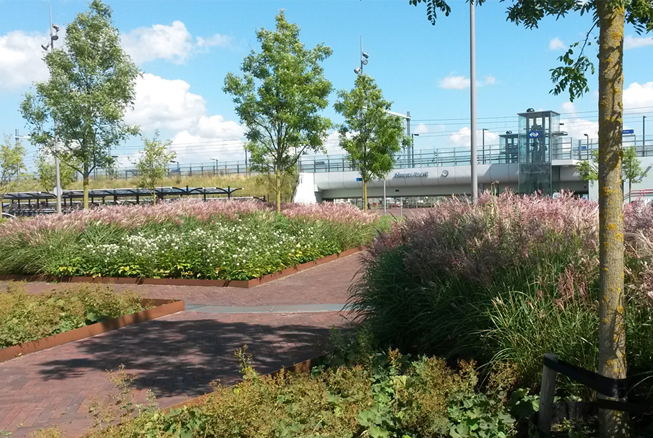 Voortvarend bouwen aan de toekomst