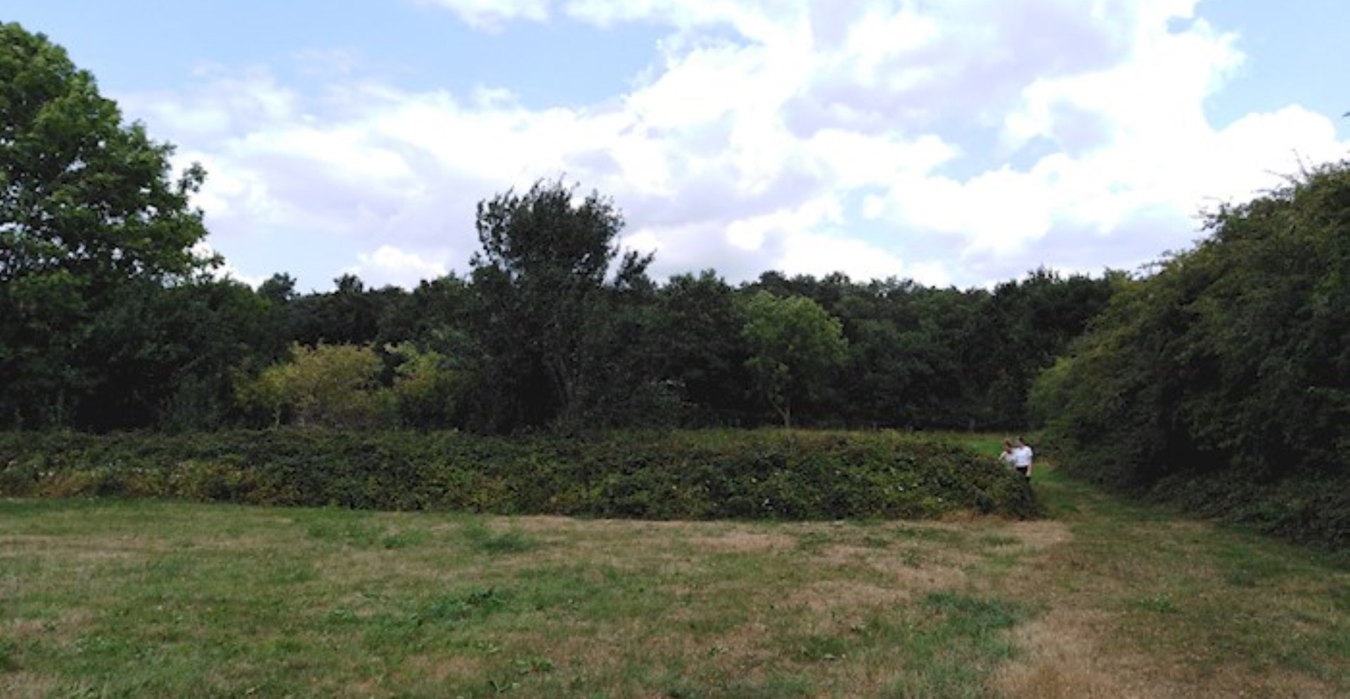 Heggenstructuren die dienen als perceelafscheidingen inventariseren in Limburg