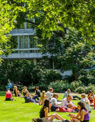 Chillen op het gras in een park (Blue zones ter inspiratie voor een gezonde leefomgeving)
