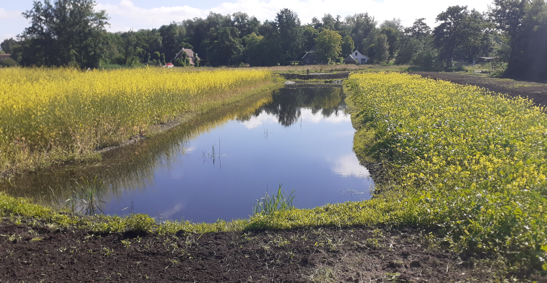 IJzerzandfilter Paterwoldsemeer als KRW-maatregel