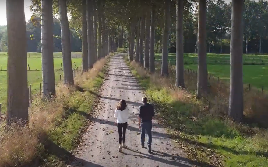 Leveraging business strategies to restore biodiversity in Belgium