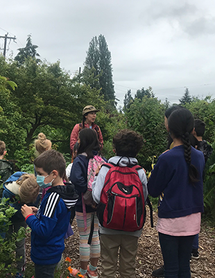 Tackling food insecurity with City Fruit