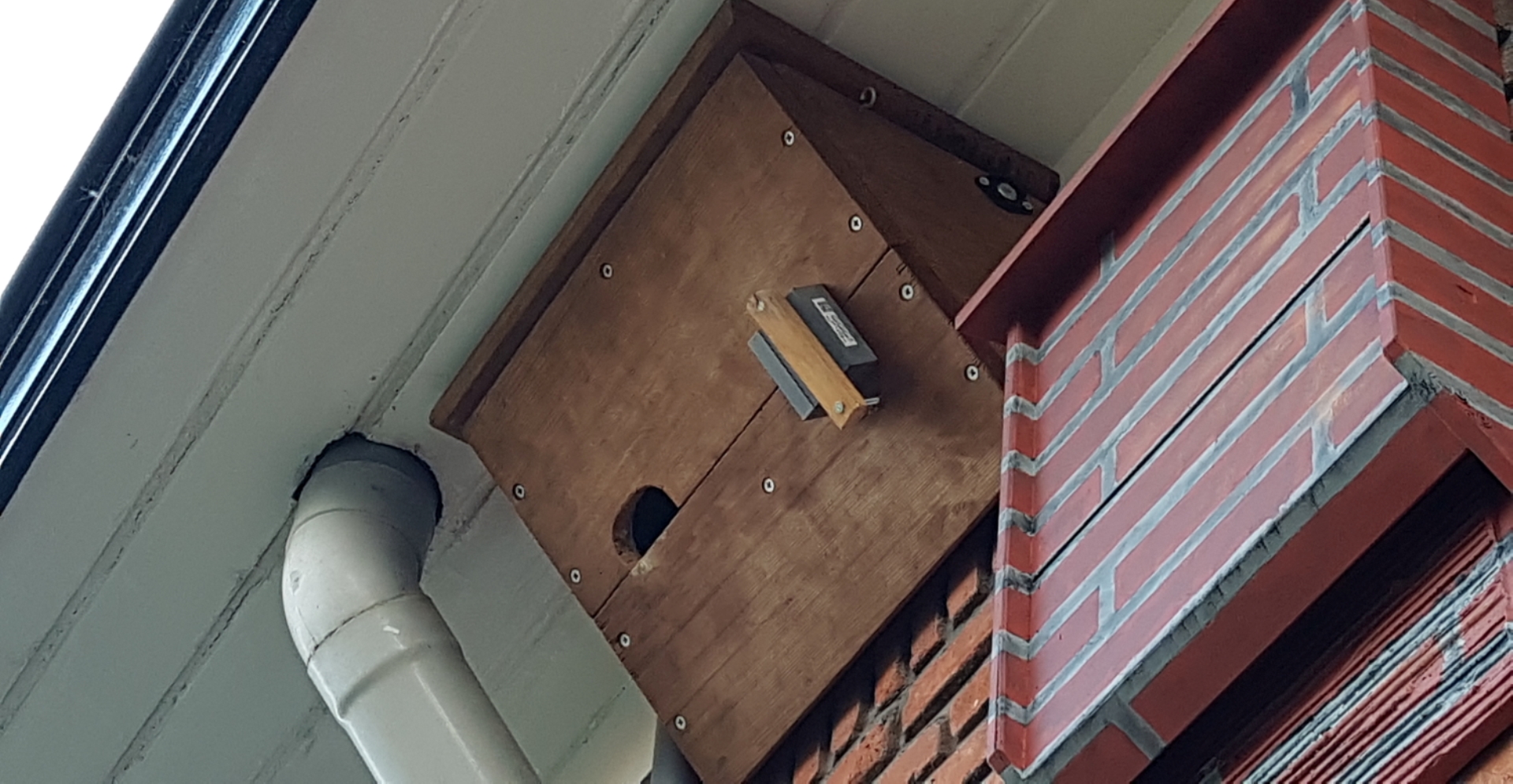 Faunasensor op nestkast geeft boost aan renovatieopgave