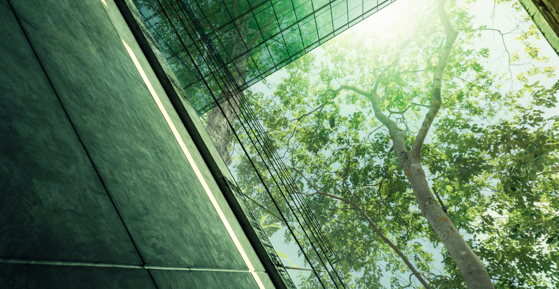 ESG-Management für Unternehmen