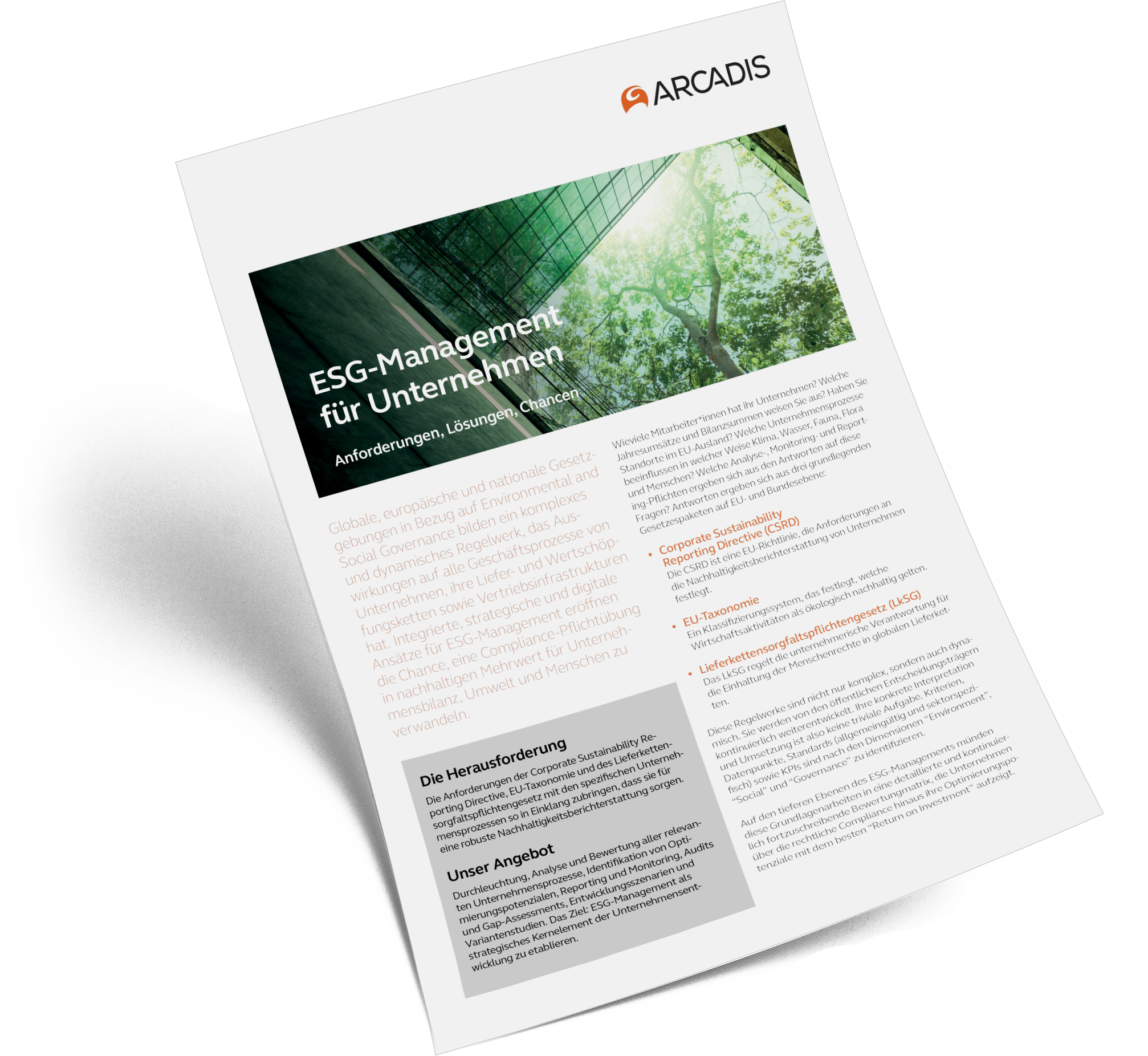 ESG-Management für Unternehmen