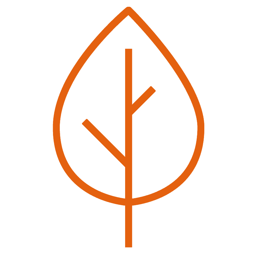 Mijn stad is groen, gezond en klimaatbestendig - Groen