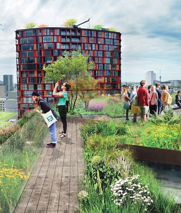 Rotterdamse Schouwburgplein