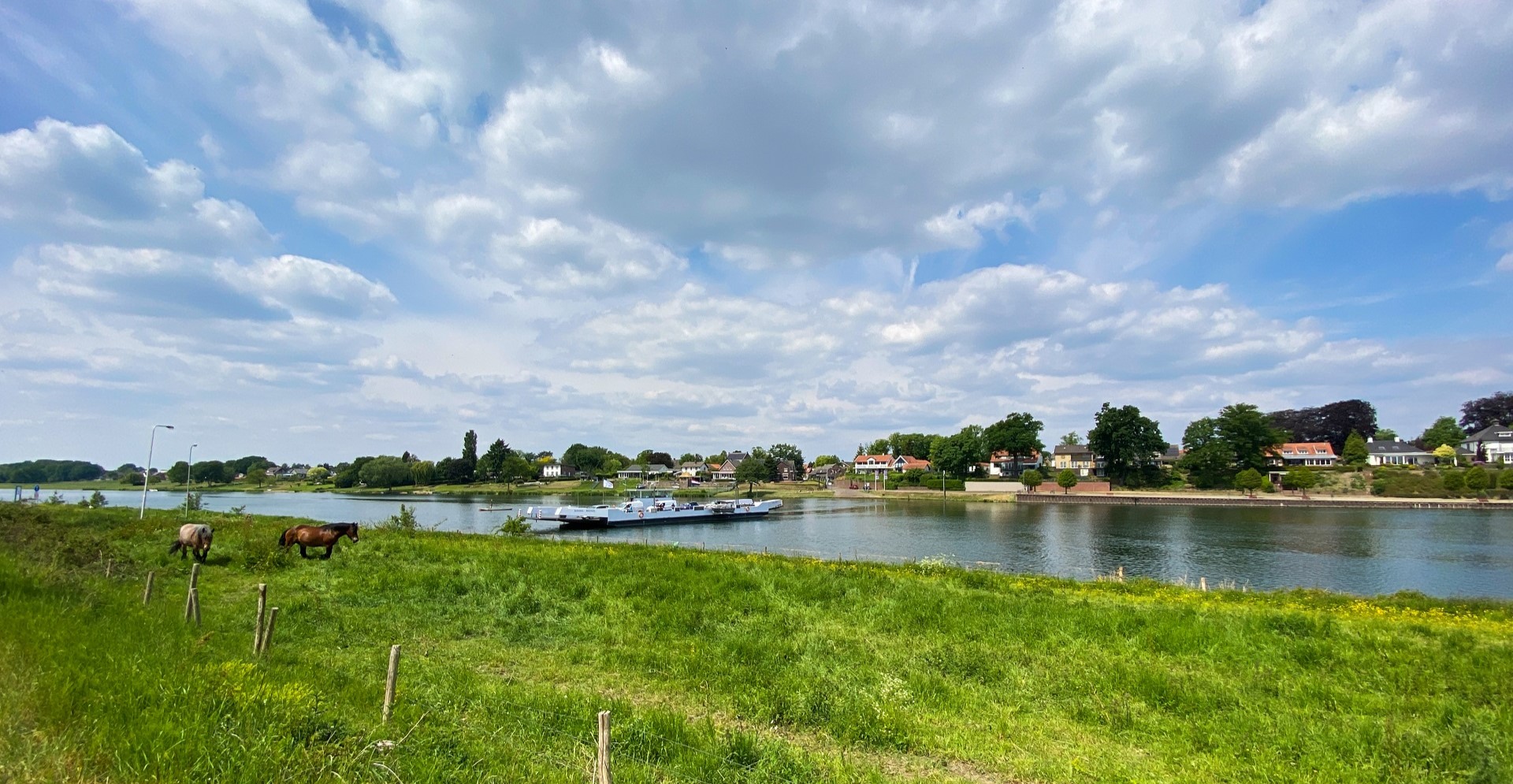 Vanaf het weiland kijkend naar de Maas bij Beesel (Noordelijke Maasvallei)