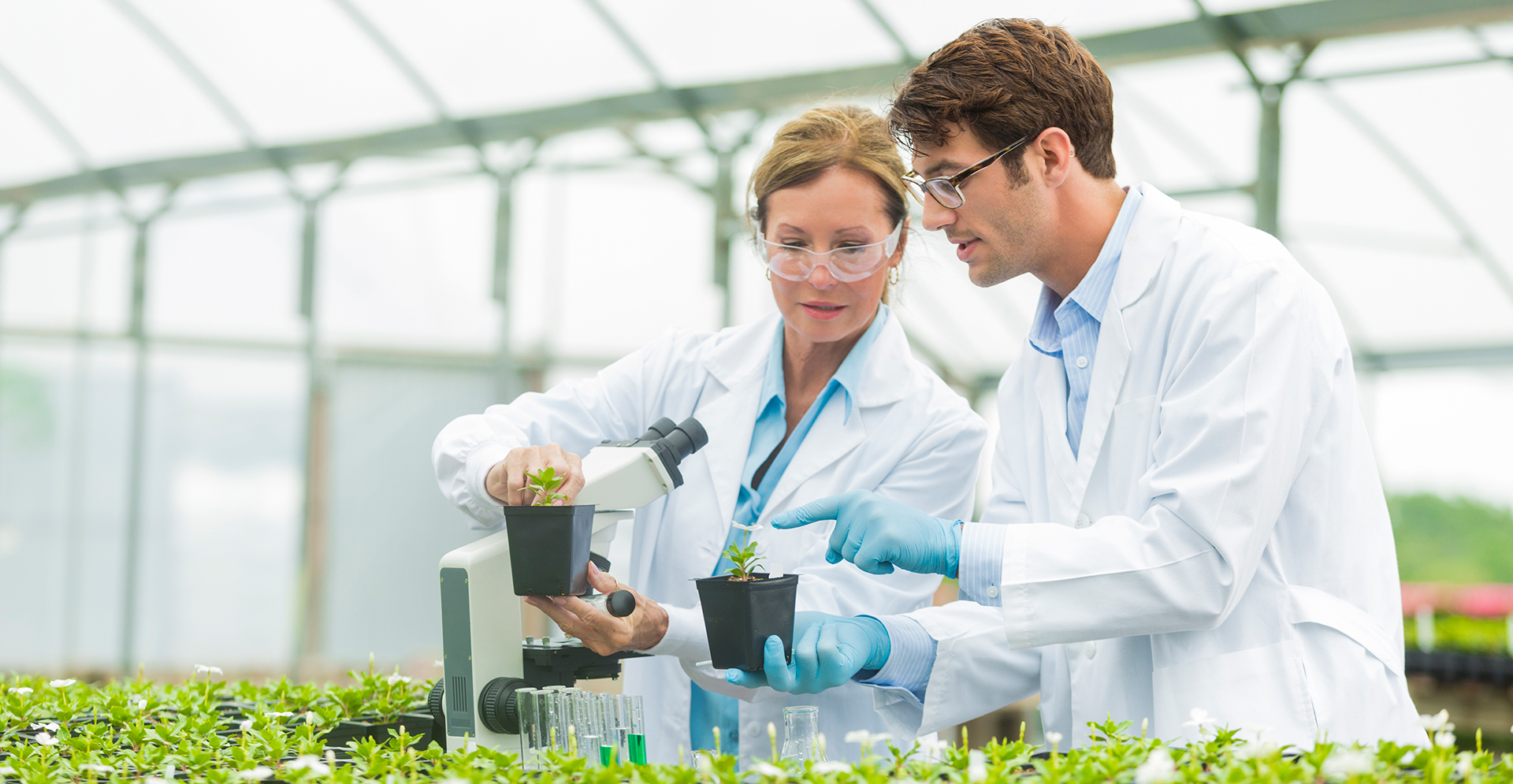 Probleemloze waterzuivering bij agrochemisch concern